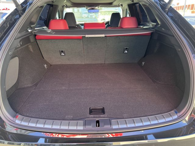 TOYOTA LEXUS RX350 AWD 2024 Image 31