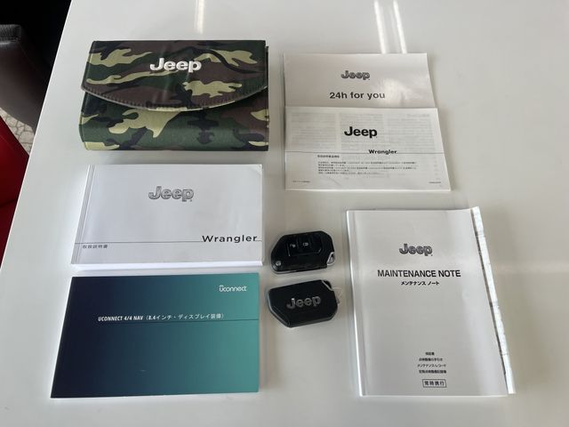 JEEP WRANGLER UNLIMI 2019 Image 31