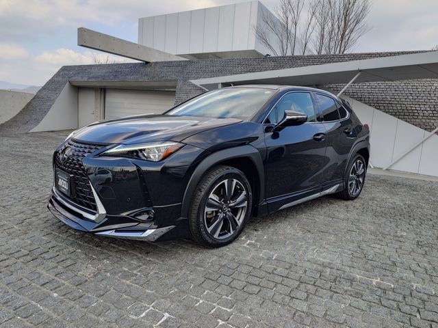 TOYOTA LEXUS UX250H 1993 Image 31