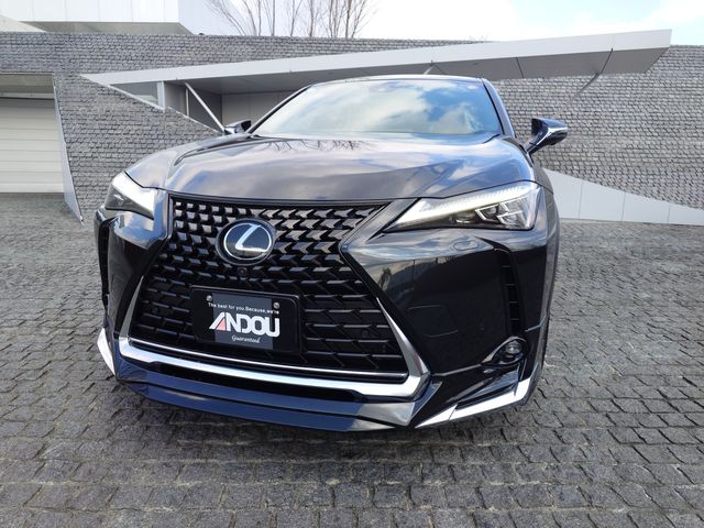 TOYOTA LEXUS UX250H 1993 Image 31