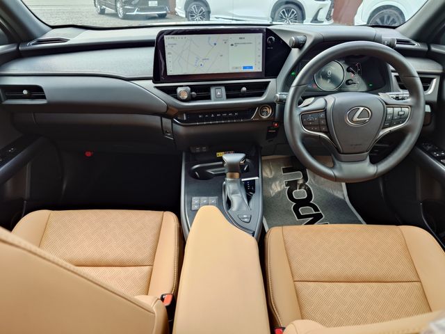 TOYOTA LEXUS UX250H 1993 Image 31