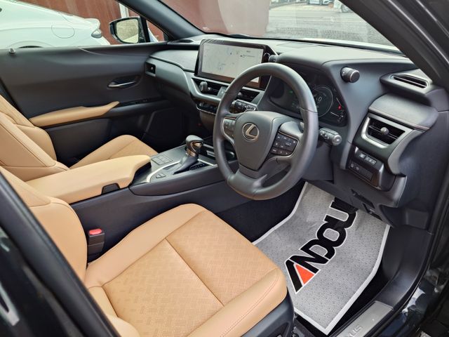 TOYOTA LEXUS UX250H 1993 Image 31