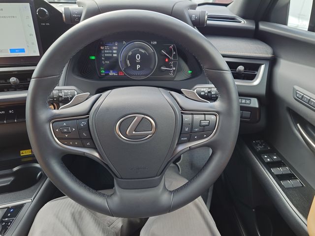 TOYOTA LEXUS UX250H 1993 Image 31