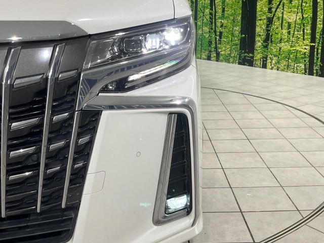 TOYOTA ALPHARD 4WD 2019 Image 31