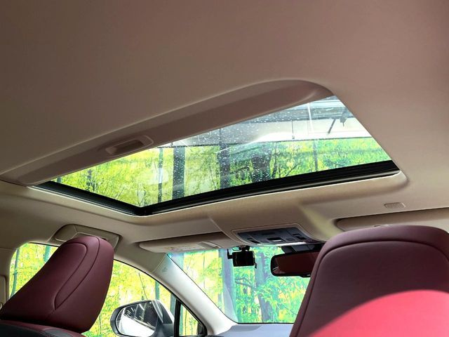 TOYOTA LEXUS NX300H 2018 Image 31