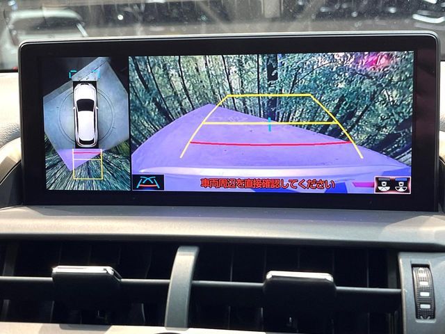 TOYOTA LEXUS NX300H 2018 Image 31