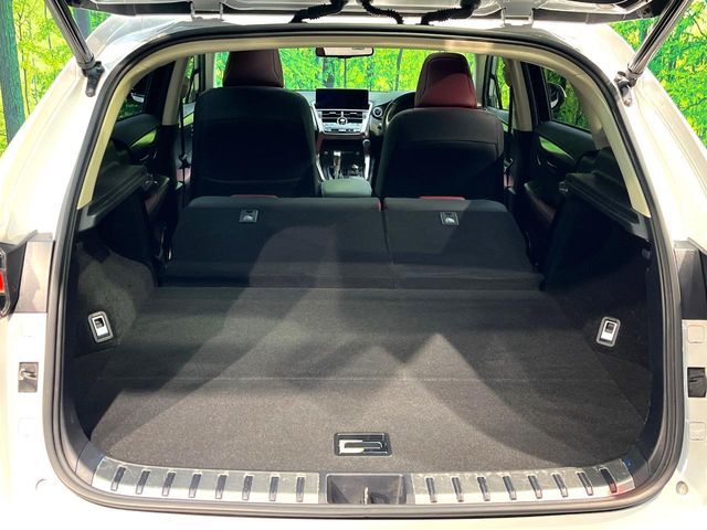 TOYOTA LEXUS NX300H 2018 Image 31