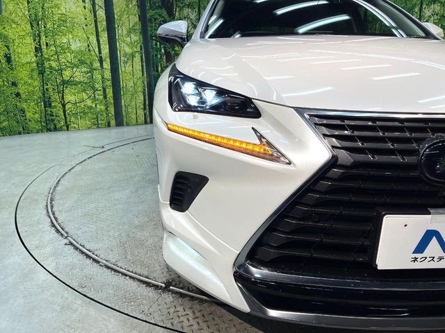 TOYOTA LEXUS NX300H 2018 Image 31