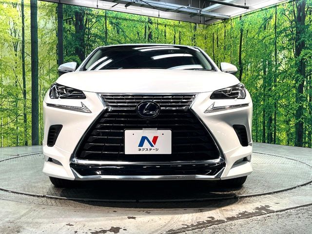 TOYOTA LEXUS NX300H 2018 Image 31