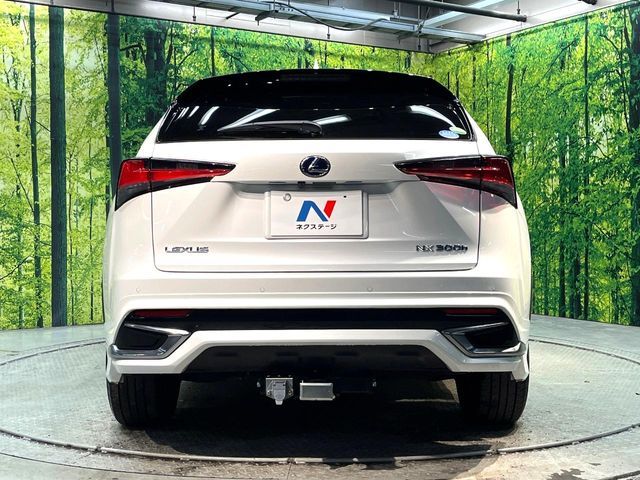 TOYOTA LEXUS NX300H 2018 Image 31