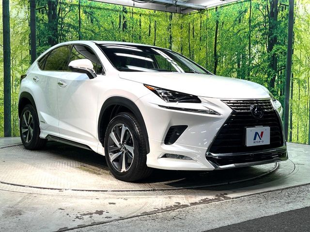 TOYOTA LEXUS NX300H 2018 Image 31