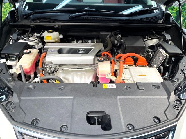 TOYOTA LEXUS NX300H 2018 Image 31