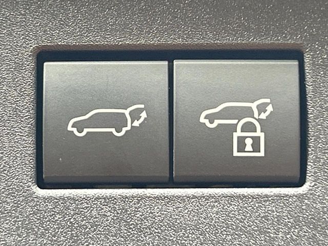 TOYOTA LANDCRUISER 250 2024 Image 31