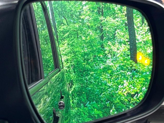 SUZUKI SOLIO BANDIT 2025 Image 31