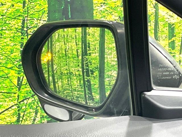 TOYOTA C-HR 2018 Image 31