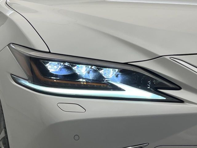 TOYOTA LEXUS ES300H 2019 Image 31