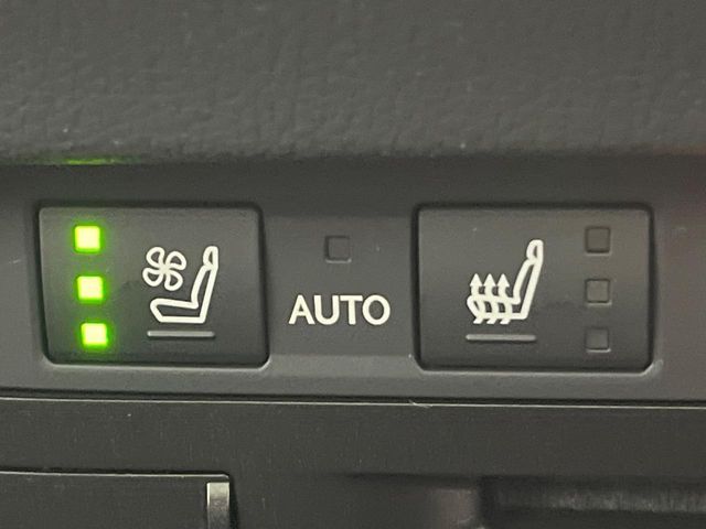 TOYOTA LEXUS ES300H 2019 Image 31