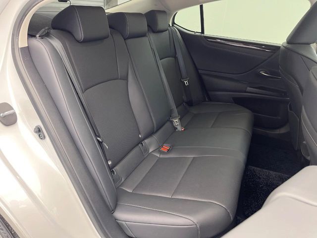 TOYOTA LEXUS ES300H 2019 Image 31