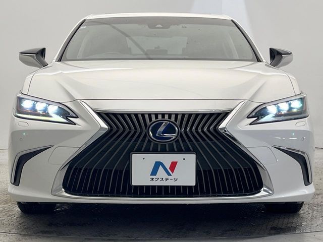 TOYOTA LEXUS ES300H 2019 Image 31