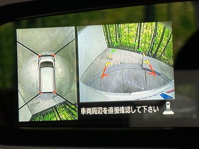 NISSAN DAYZ ROOX 2017 Image 31