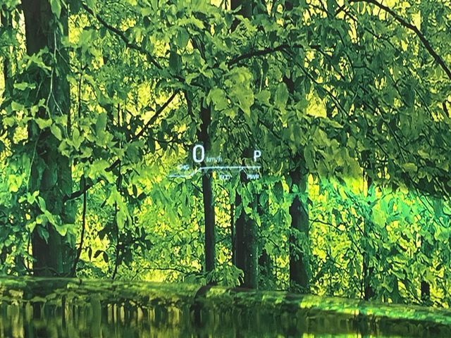 TOYOTA HARRIER HYBRID 2020 Image 31