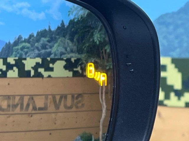 TOYOTA RAIZE 2020 Image 31