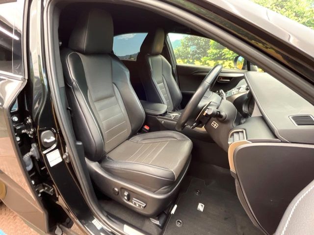 TOYOTA LEXUS NX300H 2017 Image 31