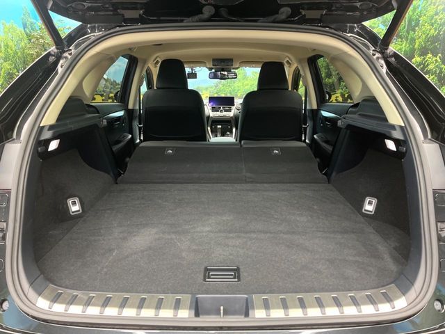 TOYOTA LEXUS NX300 2019 Image 31