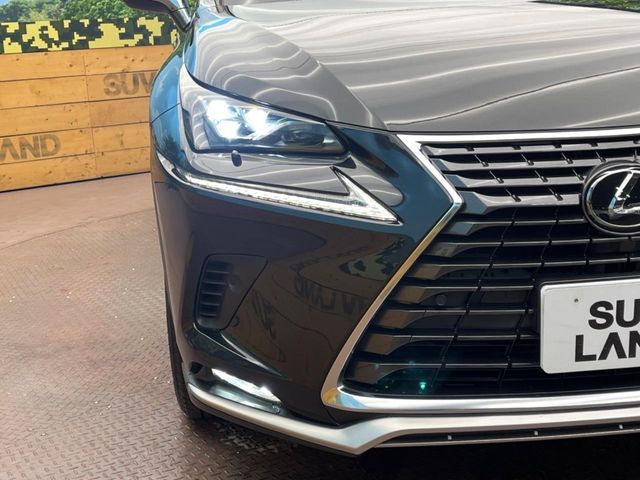 TOYOTA LEXUS NX300 2019 Image 31