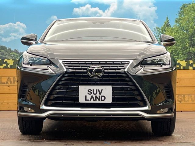 TOYOTA LEXUS NX300 2019 Image 31