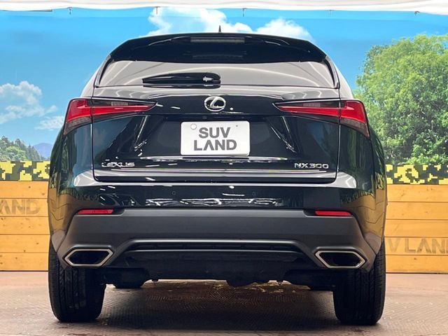 TOYOTA LEXUS NX300 2019 Image 31
