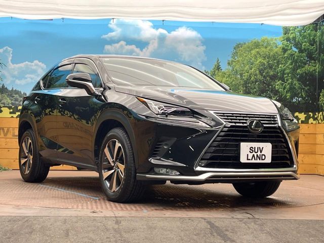 TOYOTA LEXUS NX300 2019 Image 31