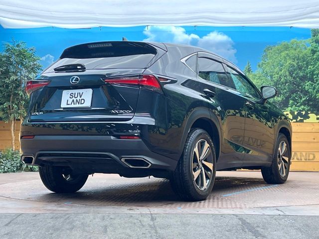 TOYOTA LEXUS NX300 2019 Image 31