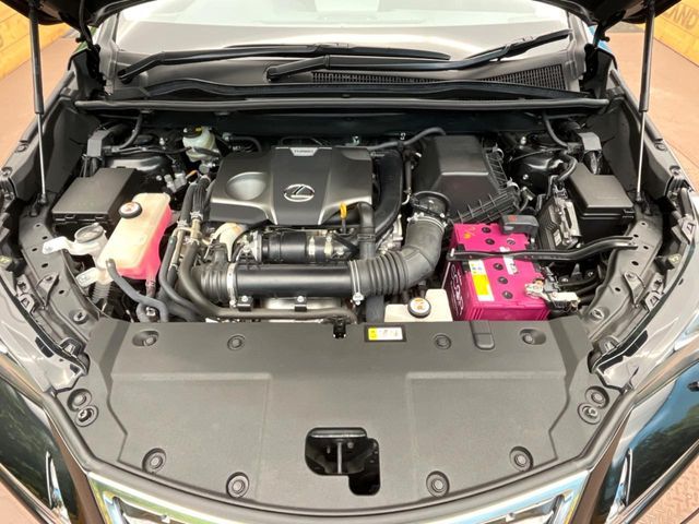 TOYOTA LEXUS NX300 2019 Image 31