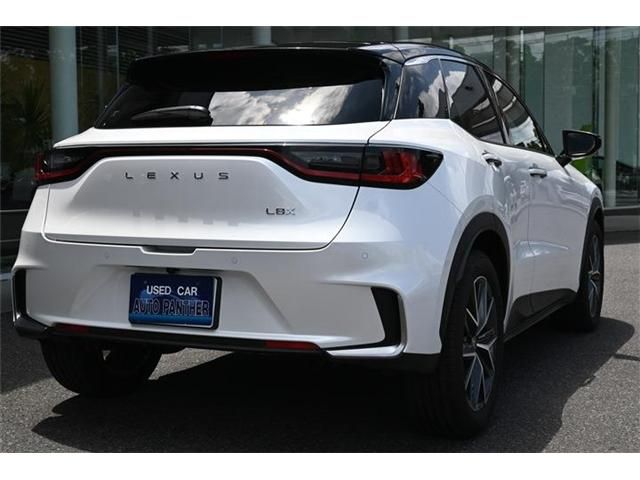 TOYOTA LEXUS LBX 2024 Image 31