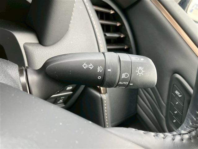 TOYOTA ALPHARD HYBRID 2024 Image 31