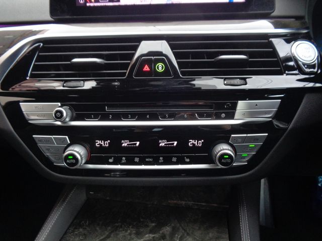 BMW 5SERIES TOURING 2019 Image 31