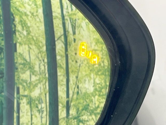 TOYOTA C-HR 2019 Image 31