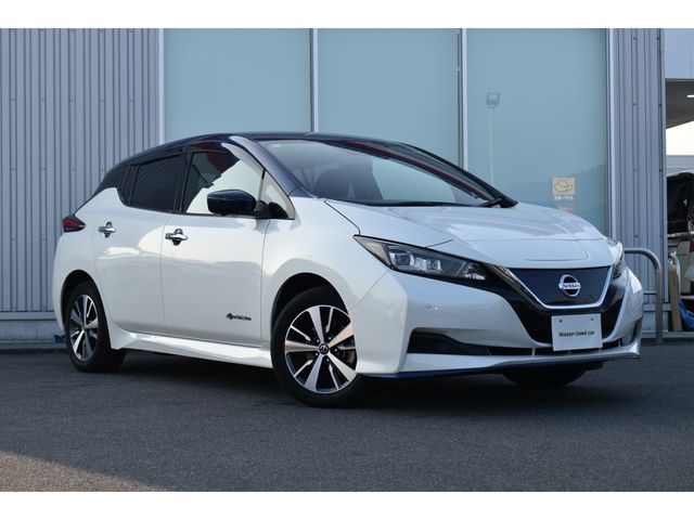 NISSAN LEAF 2021 Image 31