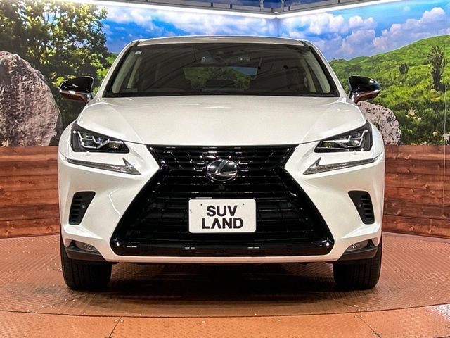 TOYOTA LEXUS NX300 2019 Image 31