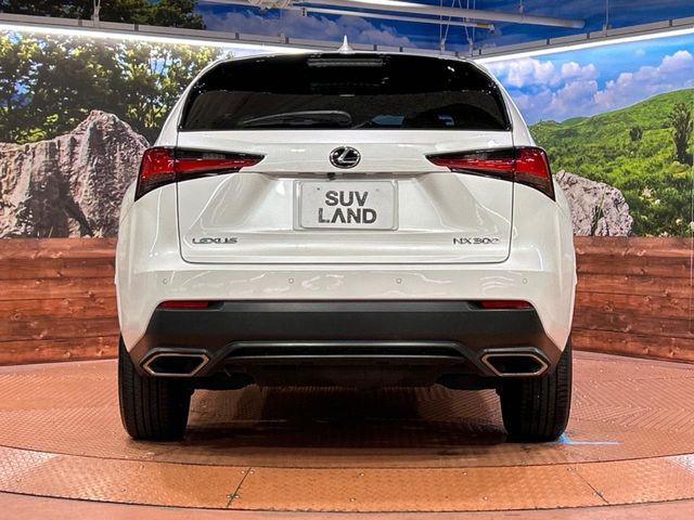 TOYOTA LEXUS NX300 2019 Image 31