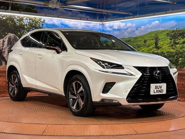 TOYOTA LEXUS NX300 2019 Image 31