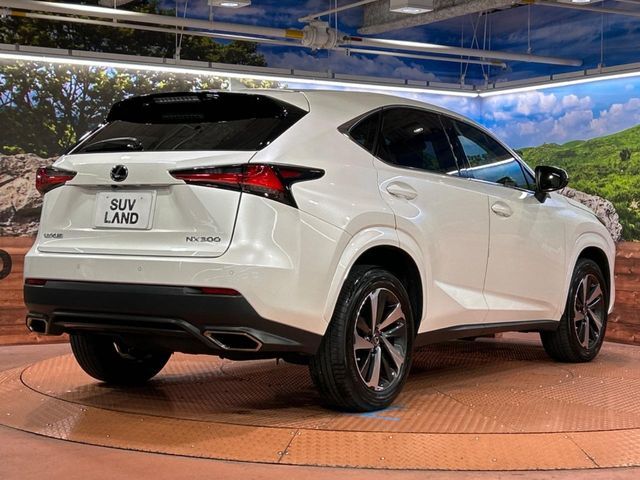 TOYOTA LEXUS NX300 2019 Image 31