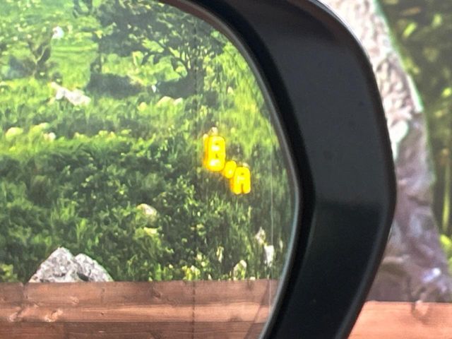 TOYOTA LEXUS NX300 2018 Image 31