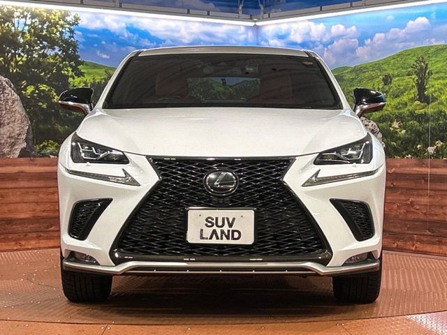 TOYOTA LEXUS NX300 2018 Image 31