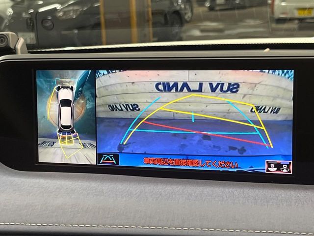 TOYOTA LEXUS UX250H AWD 2019 Image 31