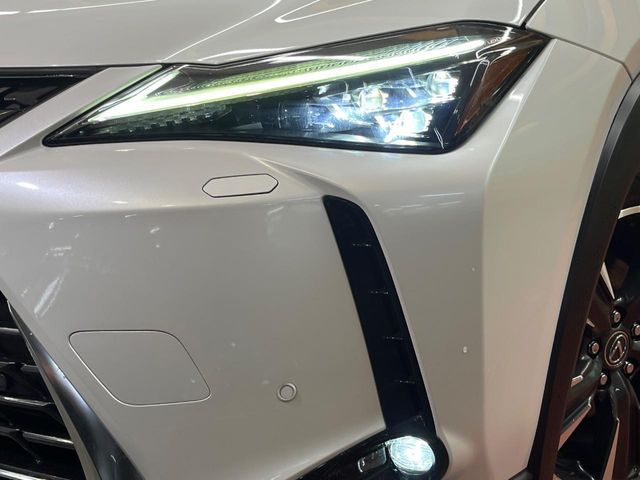 TOYOTA LEXUS UX250H AWD 2019 Image 31