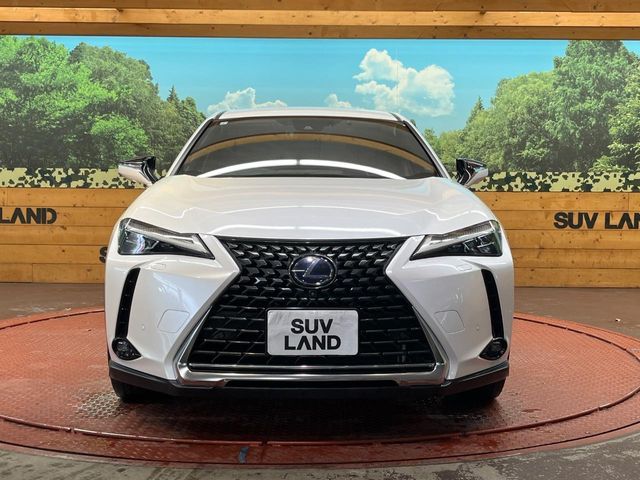 TOYOTA LEXUS UX250H AWD 2019 Image 31
