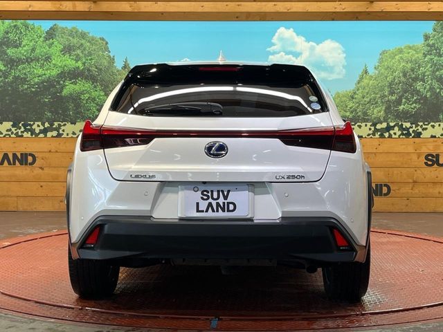 TOYOTA LEXUS UX250H AWD 2019 Image 31