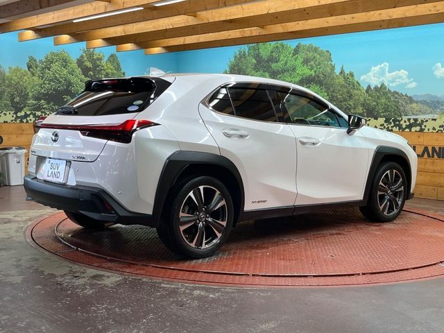 TOYOTA LEXUS UX250H AWD 2019 Image 31